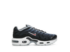 Nike Air Max Plus Blue Tint Rugged Orange (GS)