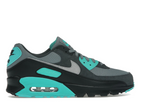 Nike Air Max 90 Cool Grey Dusty Cactus Black Wolf Grey