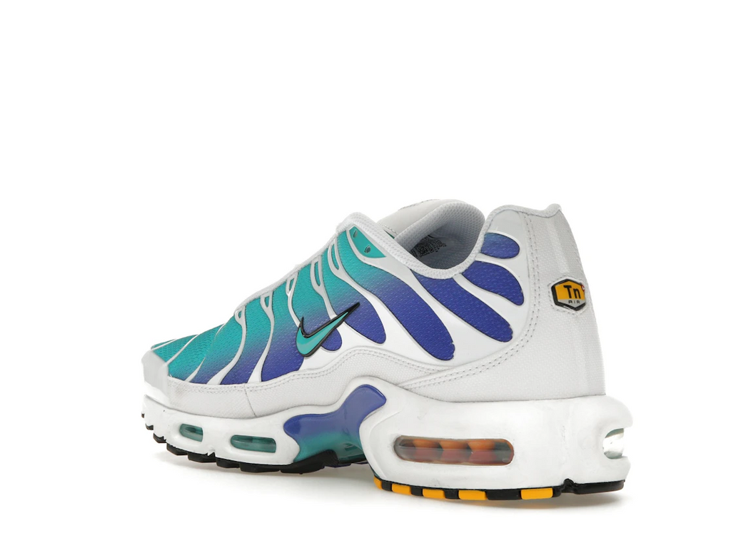 Nike Air Max Plus Aqua