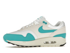 Nike Air Max 1 Dusty Cactus (W)
