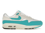 Nike Air Max 1 Dusty Cactus (W)
