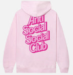 Timeless Pink Hoodie