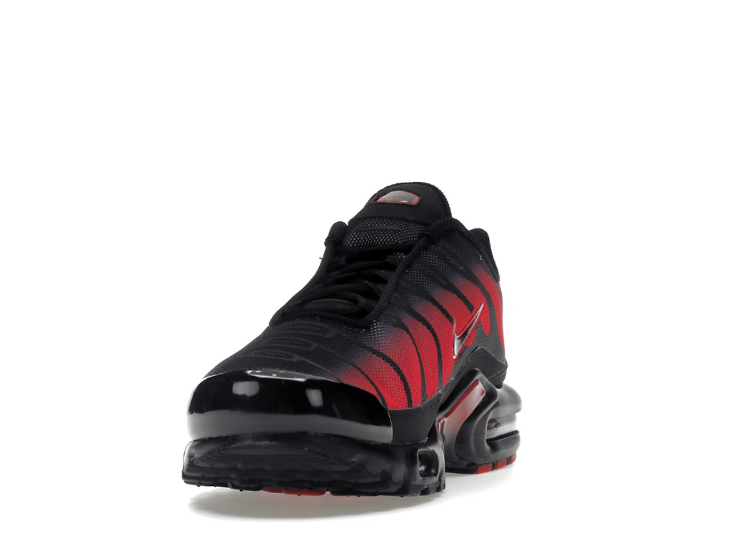 tenisky a boty Nike Air Max Plus Bred Reflective DZ4507-600 ADONIO