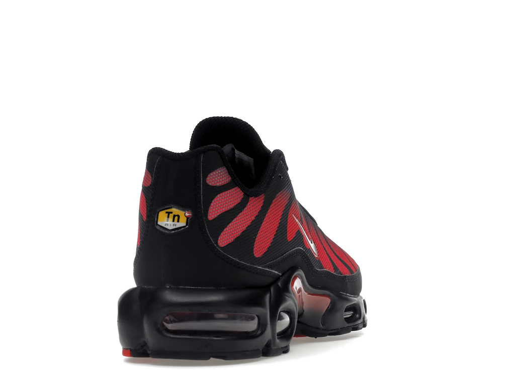 tenisky a boty Nike Air Max Plus Bred Reflective DZ4507-600 ADONIO