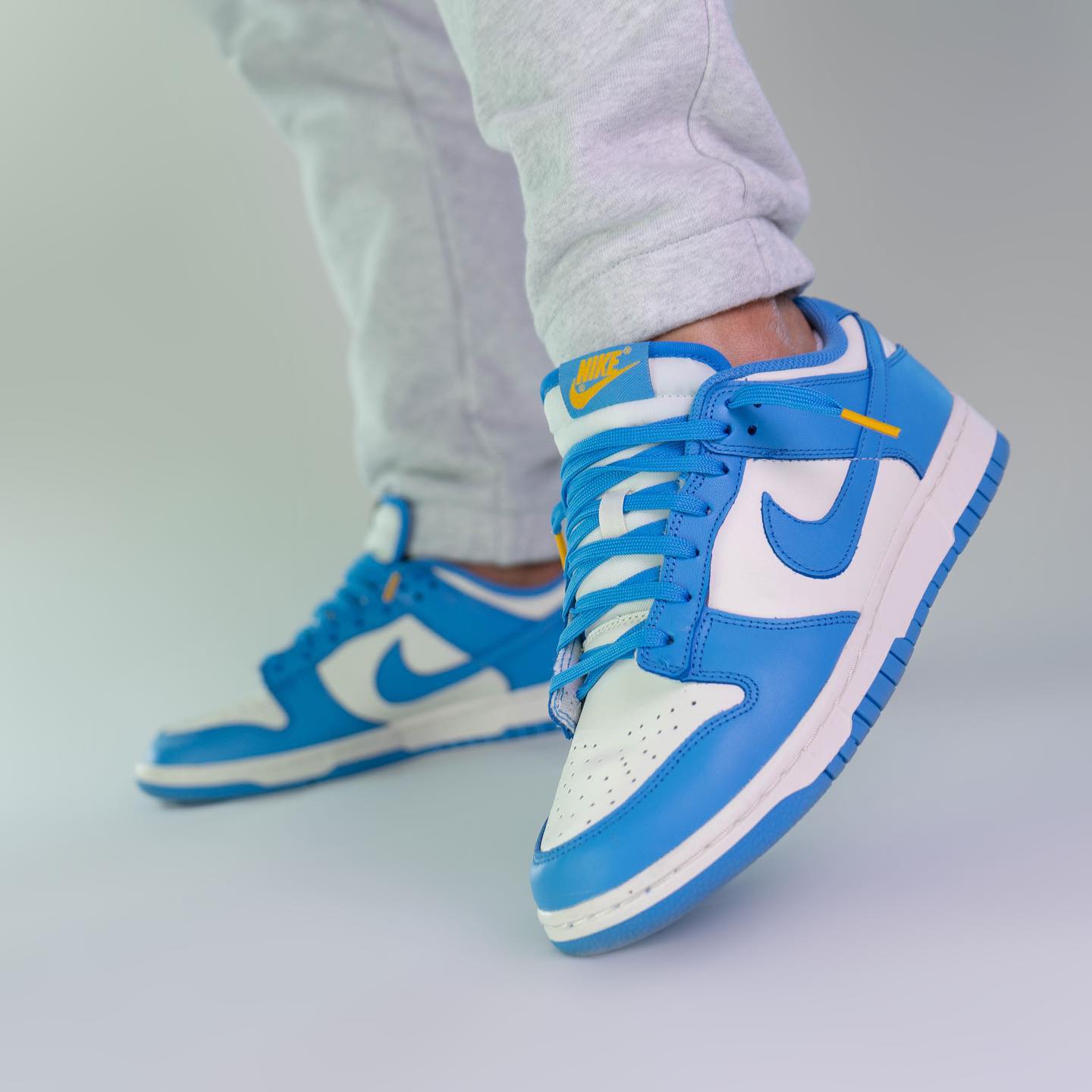 Nike Dunk Low Coast (W)
