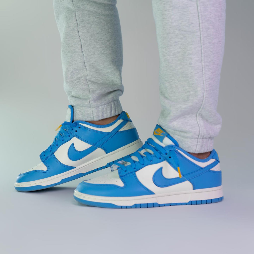 Nike Dunk Low Coast (W)