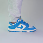 Nike Dunk Low Coast (W)