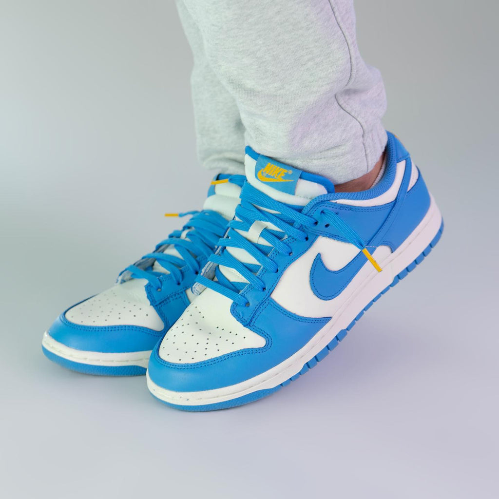 Nike Dunk Low Coast (W)