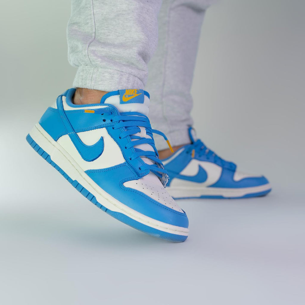 Nike Dunk Low Coast (W)