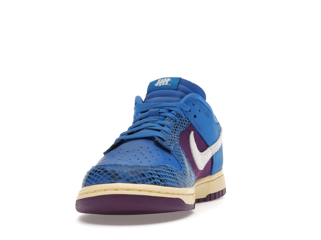 Nike Dunk Low 5 On It