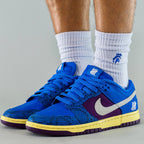 Nike Dunk Low 5 On It