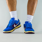 Nike Dunk Low 5 On It