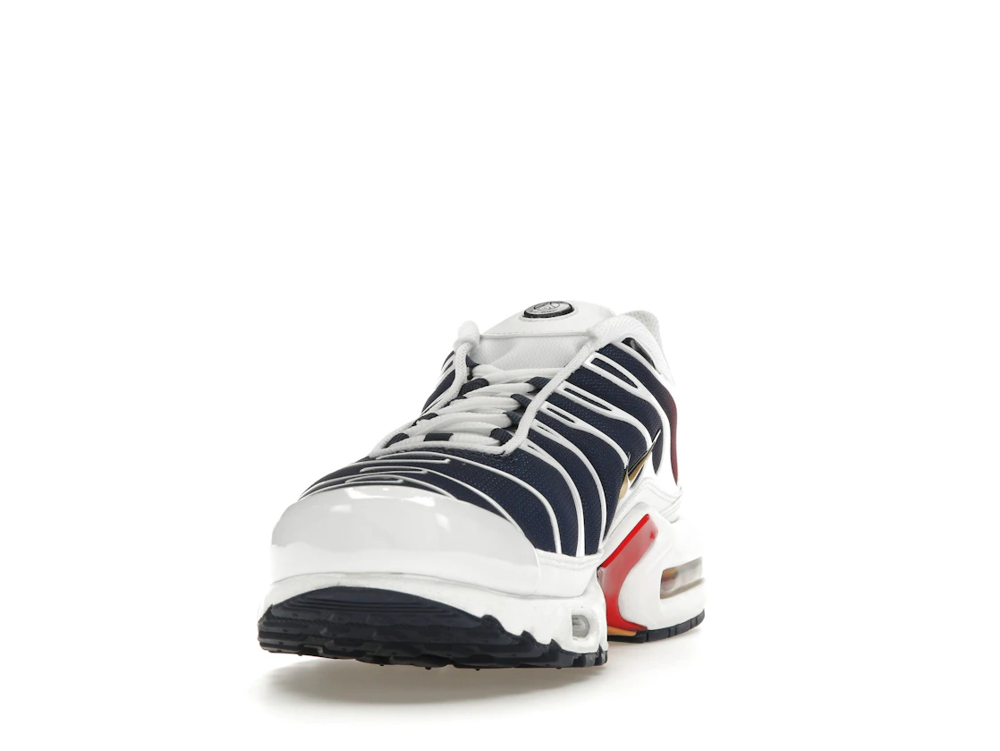 Nike Air Max Plus PSG