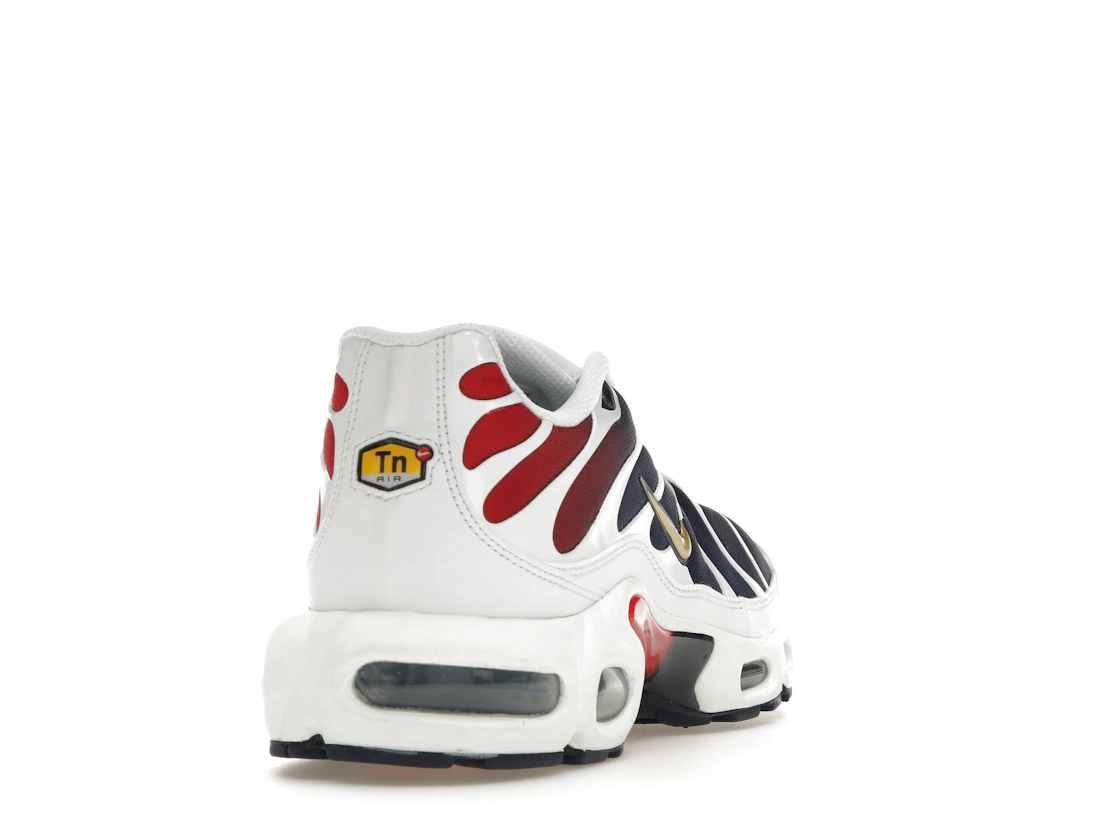Nike Air Max Plus PSG