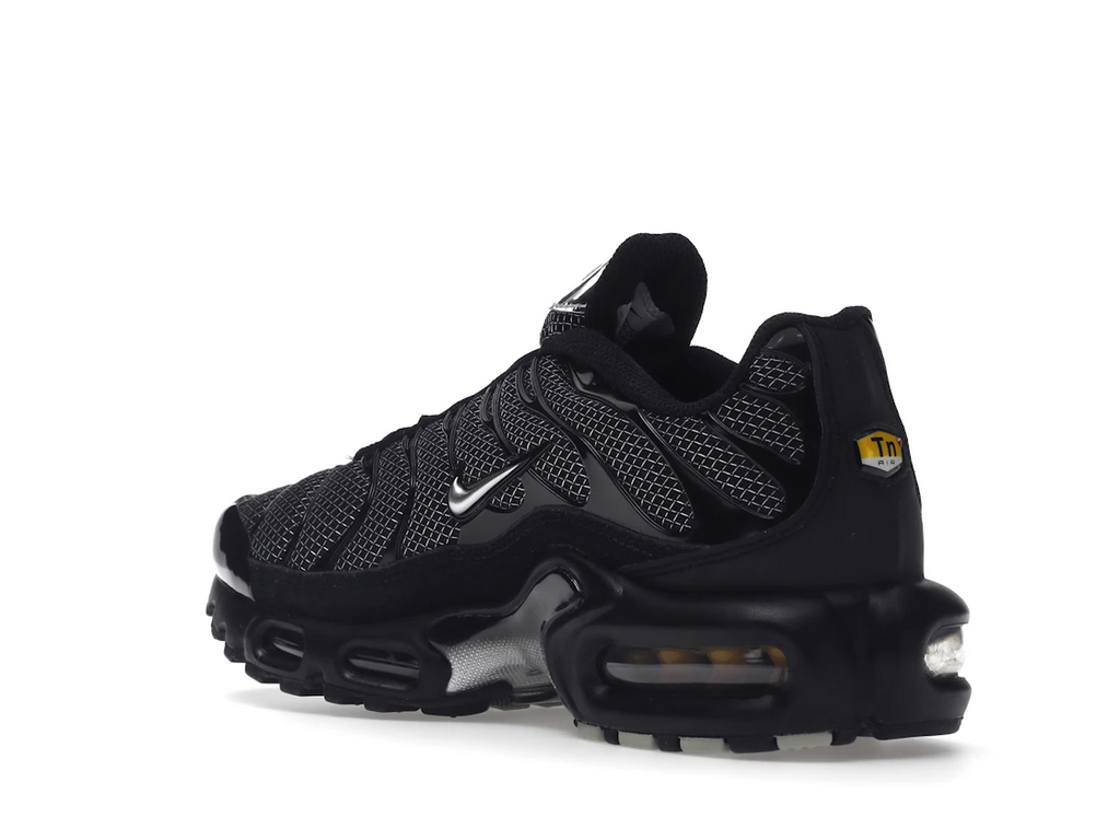 Nike Air Max Plus Black Suede Silver (W)