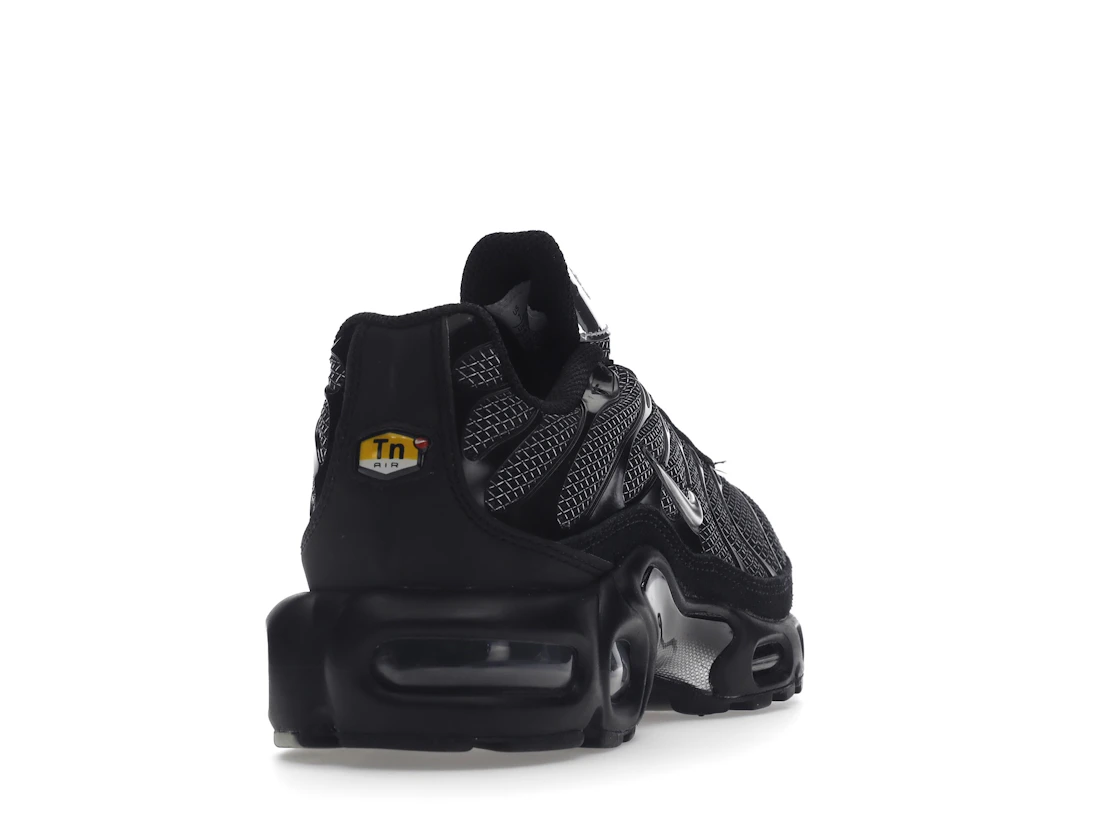 Nike Air Max Plus Black Suede Silver (W)