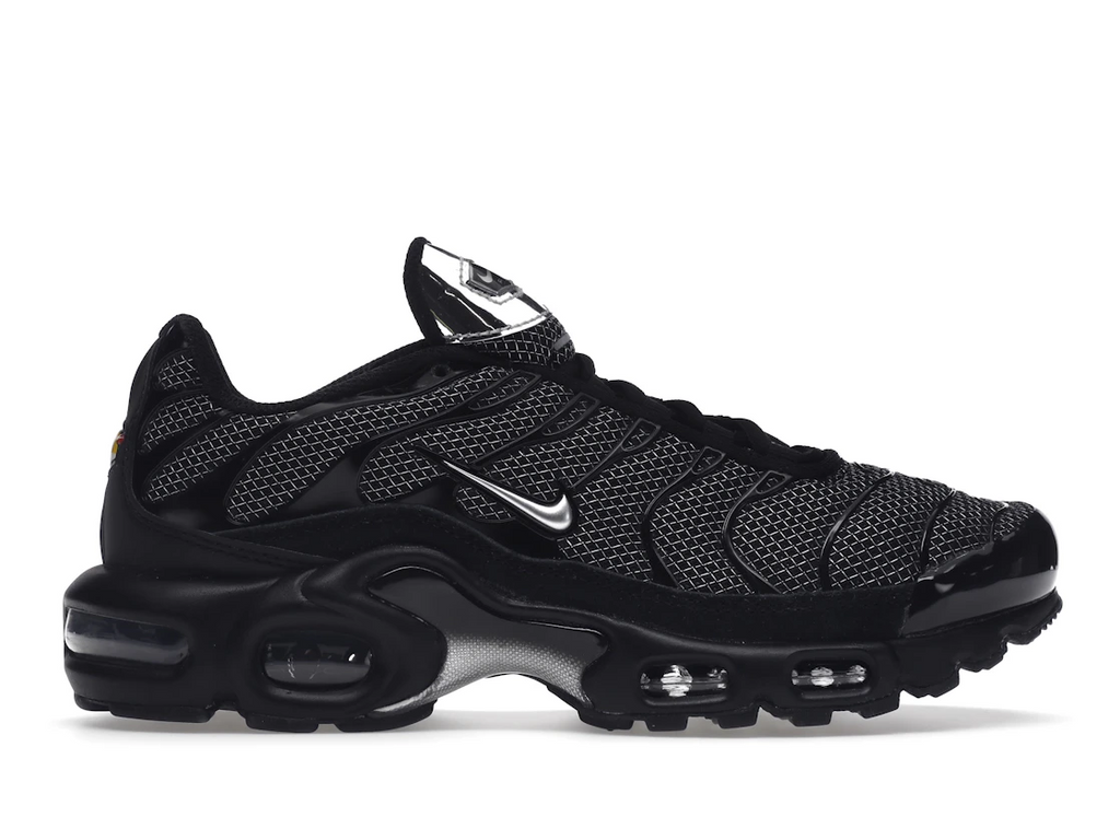 Nike Air Max Plus Black Suede Silver (W)