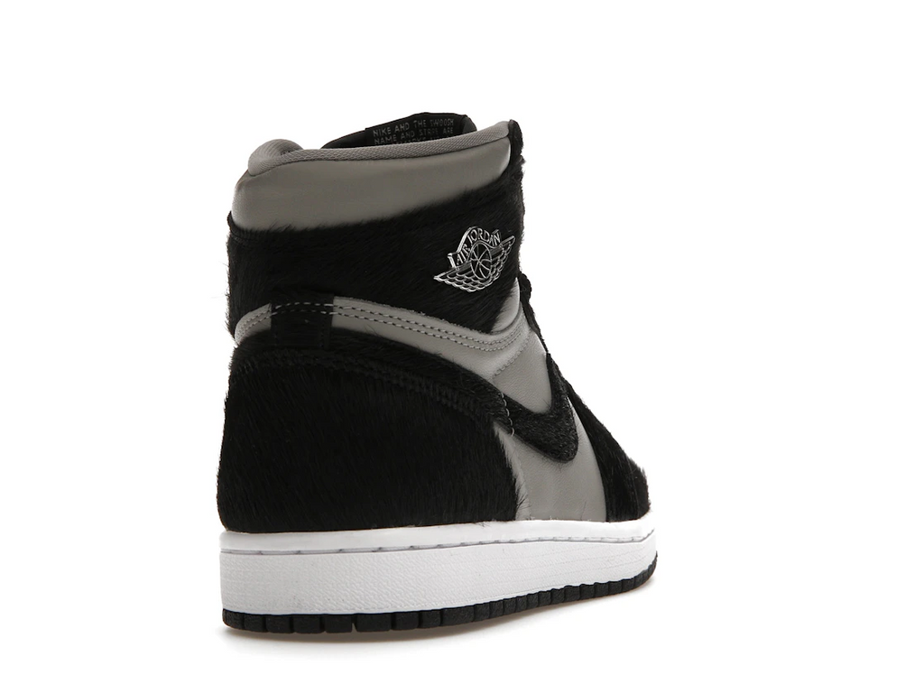 Air Jordan 1 High OG Twist 2.0 (W)