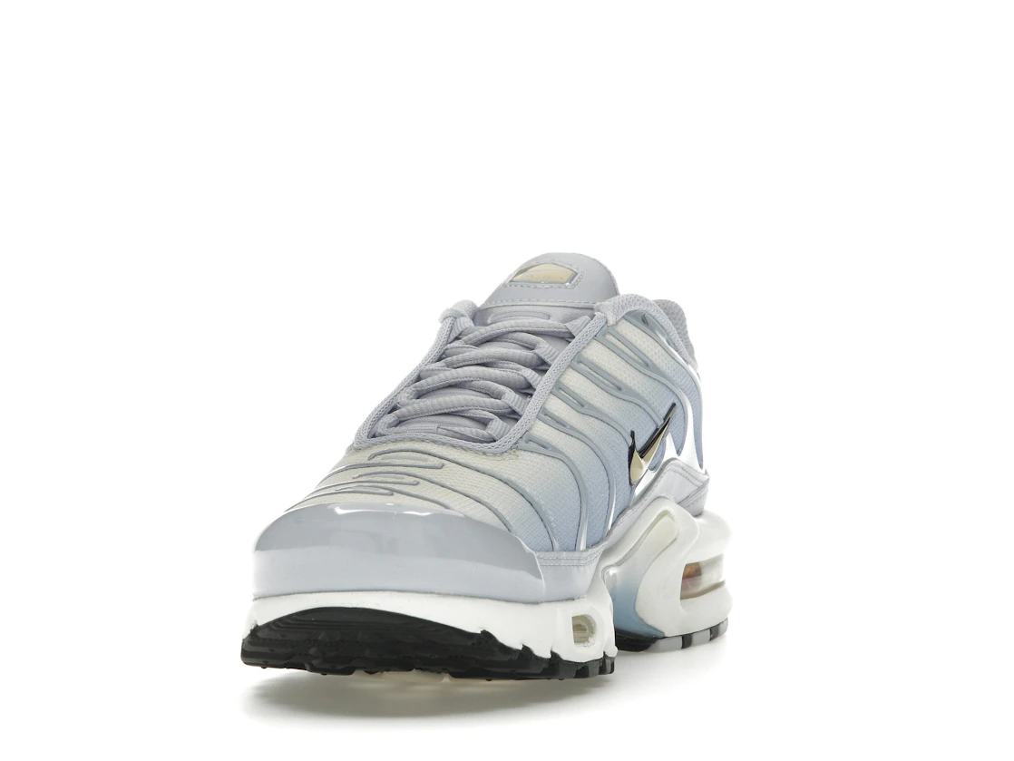 Nike Air Max Plus Daybreak (W)