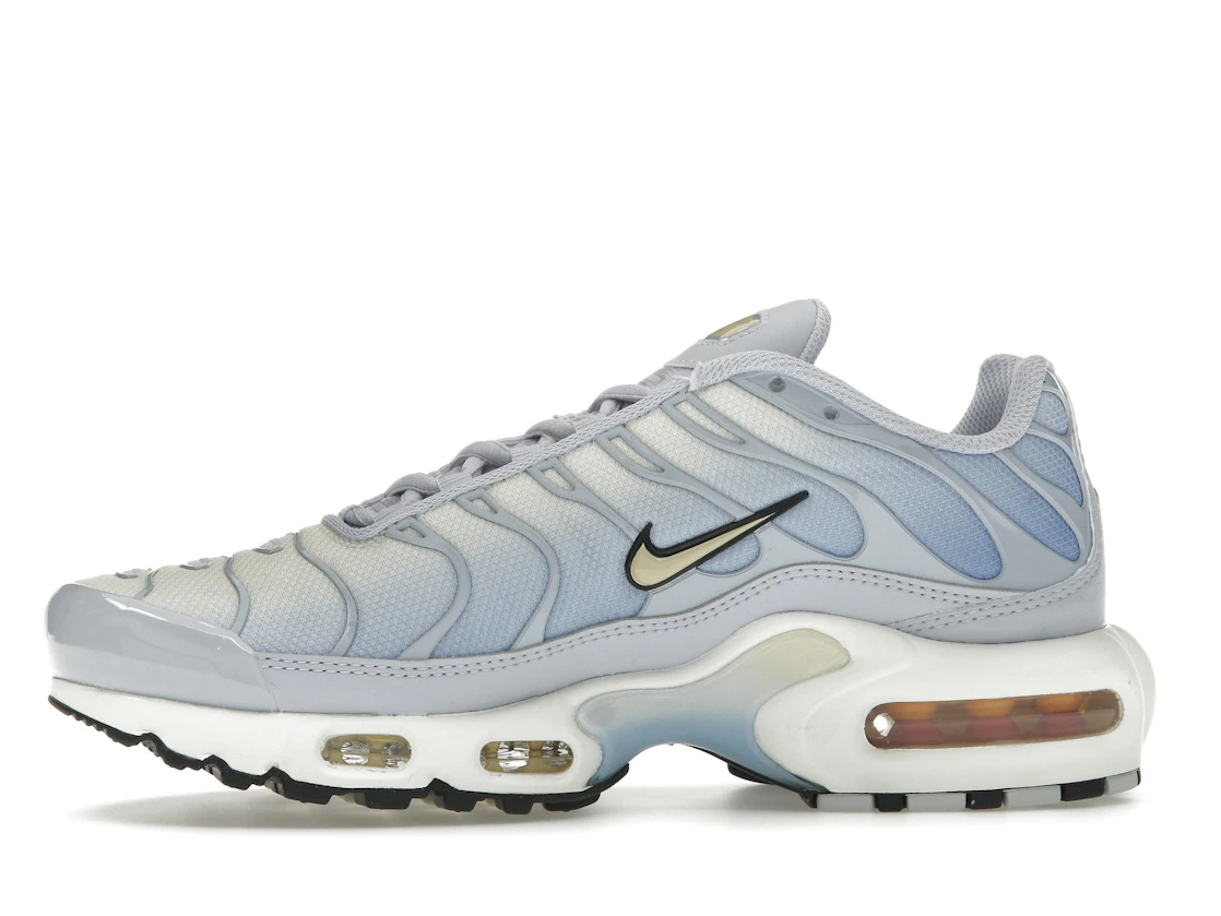 Nike Air Max Plus Daybreak (W)
