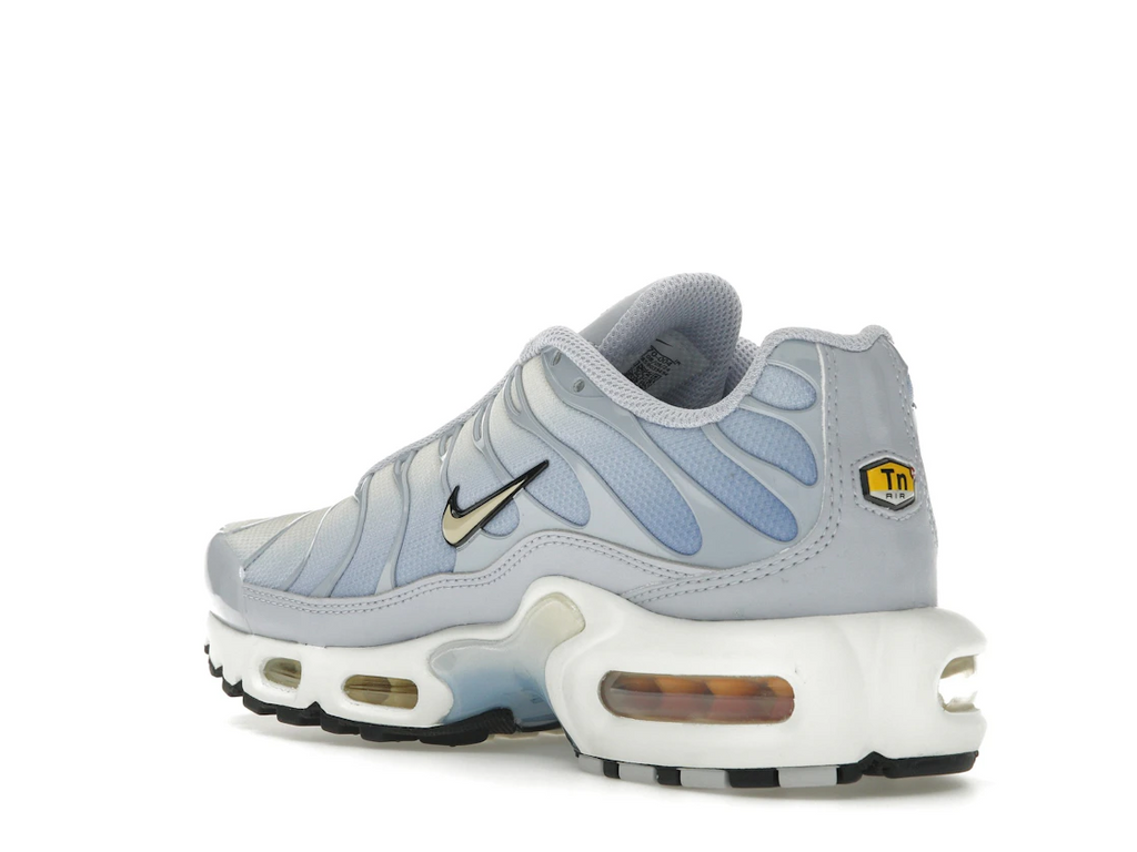 Nike Air Max Plus Daybreak (W)