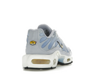 Nike Air Max Plus Daybreak (W)