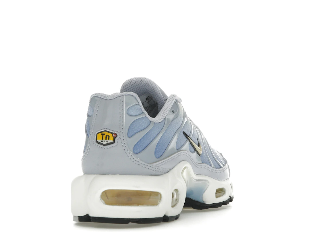 Nike Air Max Plus Daybreak (W)