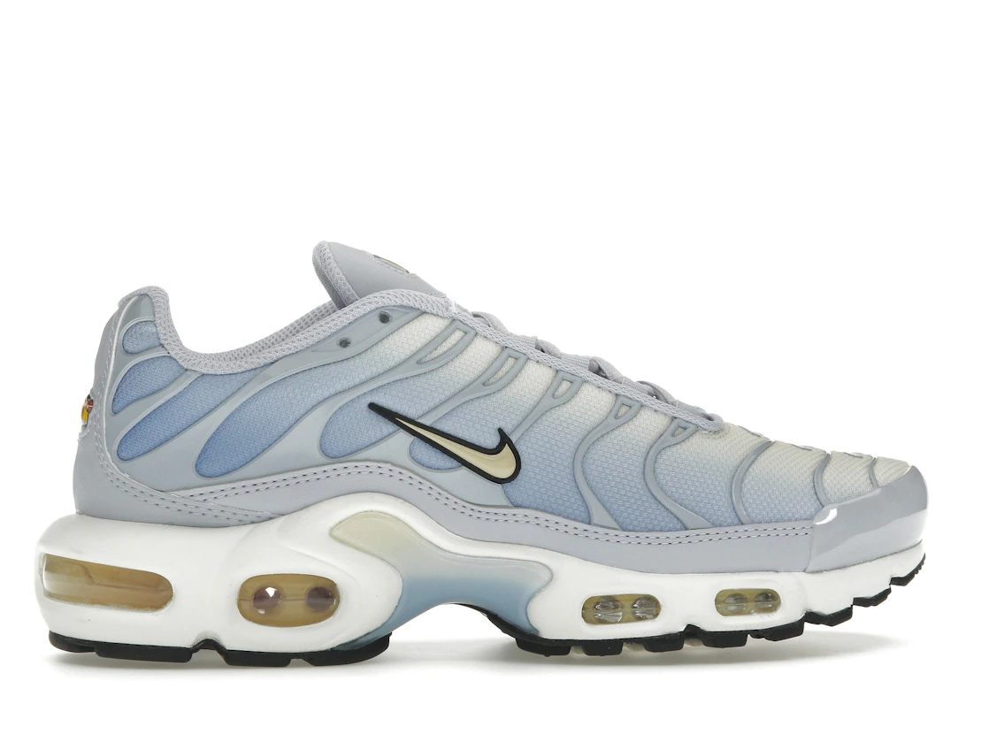 Nike Air Max Plus Daybreak (W)