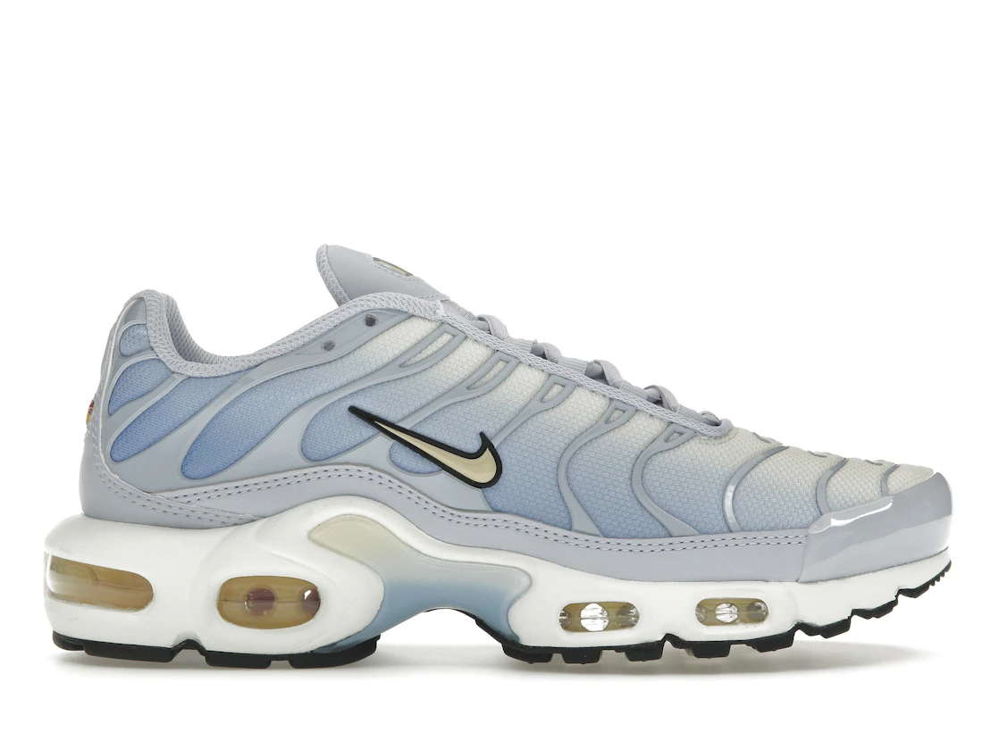 Nike Air Max Plus Daybreak (W)