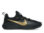 Nike LeBron TR 1 Black Metallic Gold