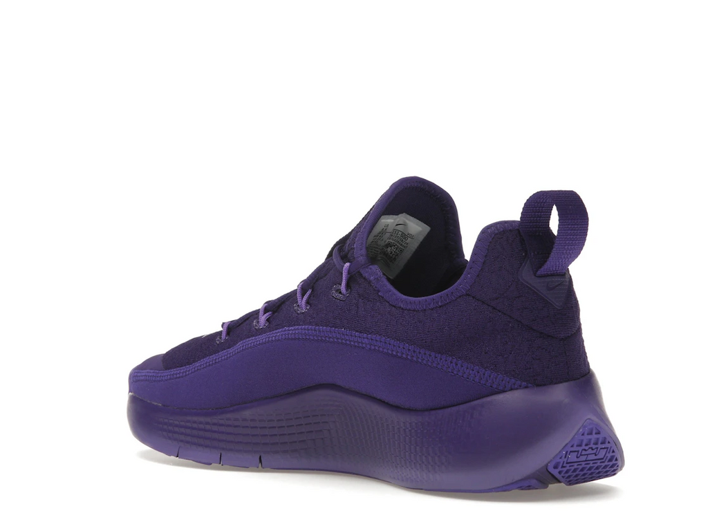 Nike LeBron TR 1 Purple Rain