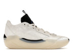 tenisky a boty Jordan 39 No Alteration FQ0213-104/FQ0214-104 ADONIO