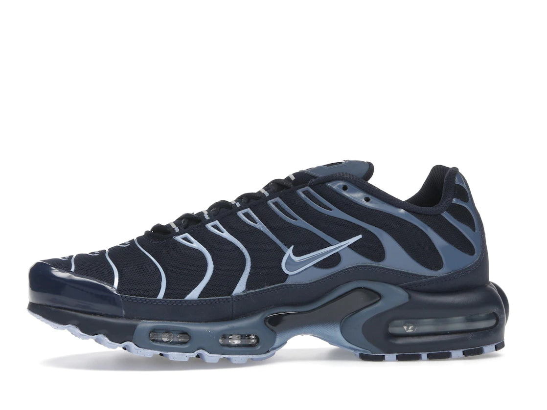 Nike Air Max Plus Obsidian Aluminum