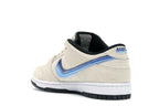 Nike SB Dunk Low Truck It