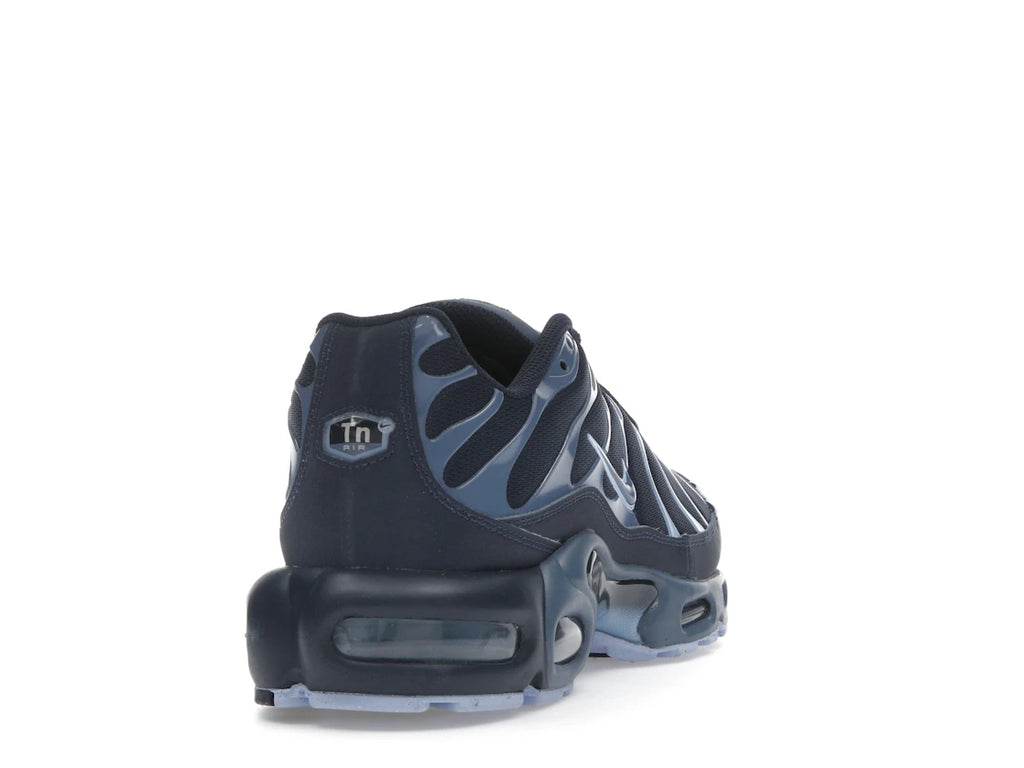 Nike Air Max Plus Obsidian Aluminum