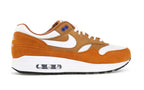 Nike Air Max 1 Curry (2018)